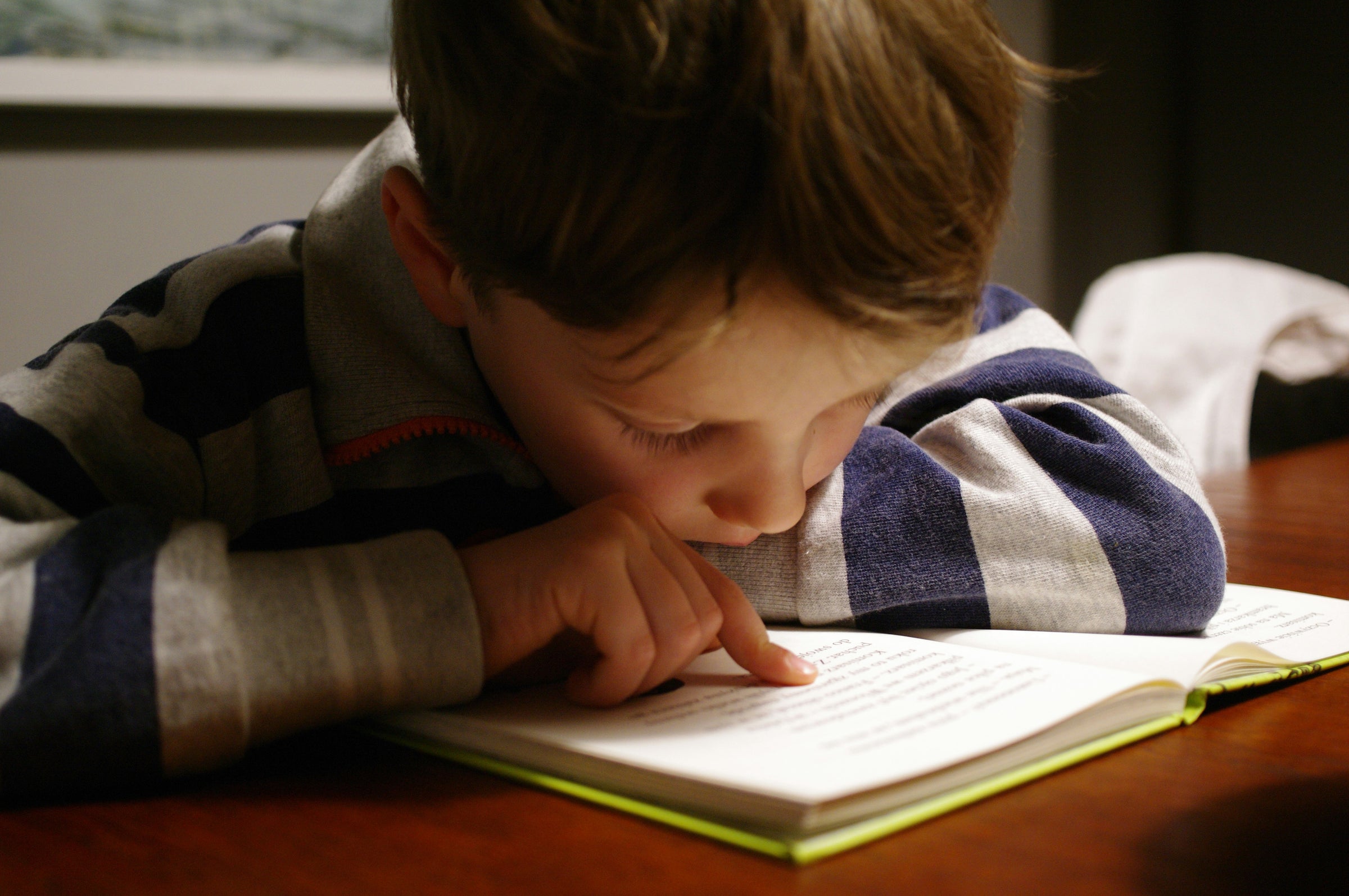 Kind liest konzentriert ein Buch