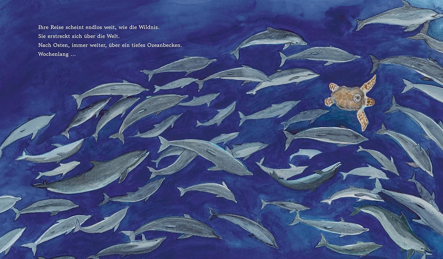 Illustration aus der wahren Geschichte "Yoshi und das Meer" zeigt die Schildkröte zusammen mit Walen und anderen Meerestieren.