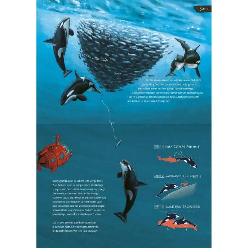Illustration aus dem Kinderbuch über Umweltschutz "Die Tiefseetaucherin". Zu sehen sind Orcas, die um einen Schwarm Fische herumschwimmen.