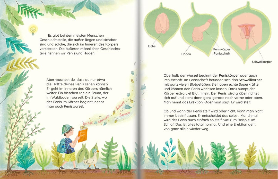 Seite aus dem Kinderbuch "Luca lernt sich kennen" zeigt eine Illustration der männlichen Geschlechtsorgane mit kindgerechten Beschreibungen.