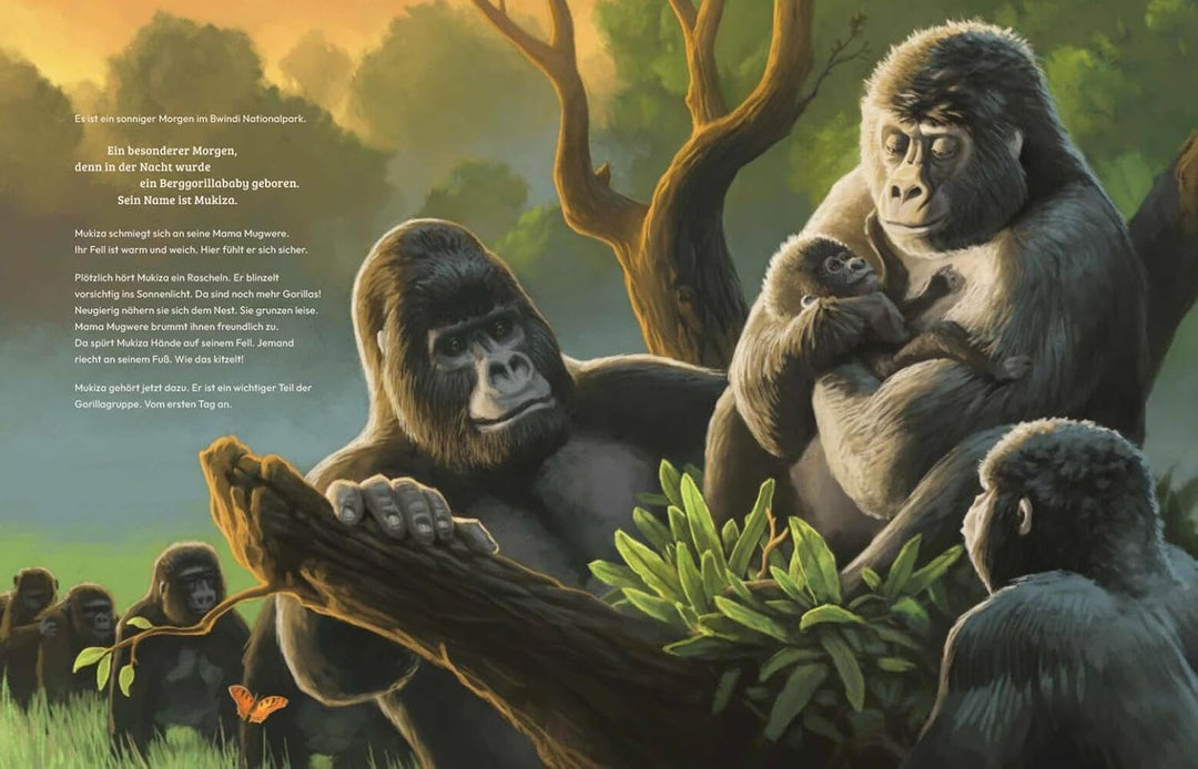 Doppelseite aus dem Kinderbuch "Mukiza" mit einer Gorillafamilie, die friedlich im Grünen zusammensitzt. Alle schauen gespannt den kleinen Gorilla Mukiza an.