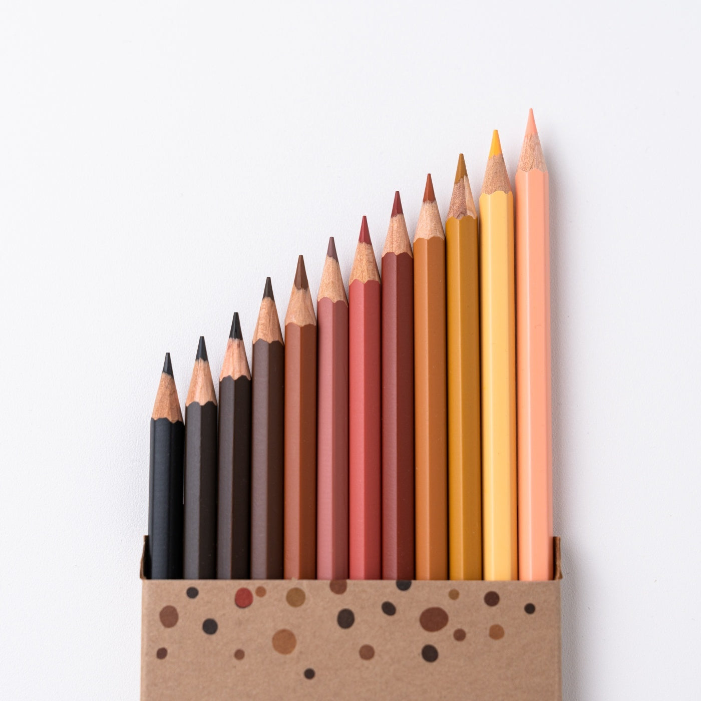 12 verschiedene Skin Tones Pencil Colors for everyone für Kinder zeigen aus Verpackung raus