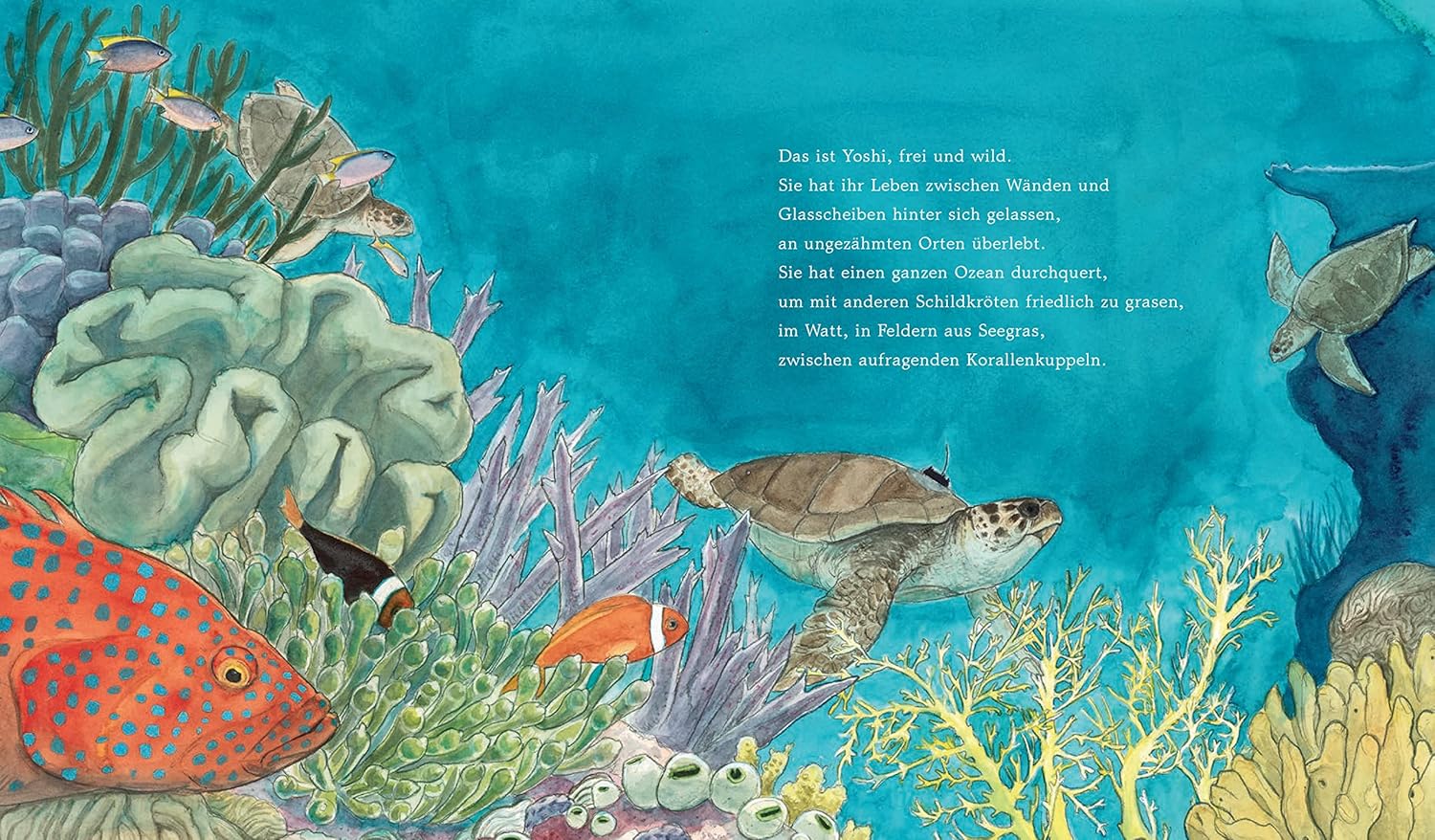 Illustration aus "Yoshi und das Meer" zeigt die Schildkröte beim Schwimmen durch ein buntes Korallenriff voller Fische.