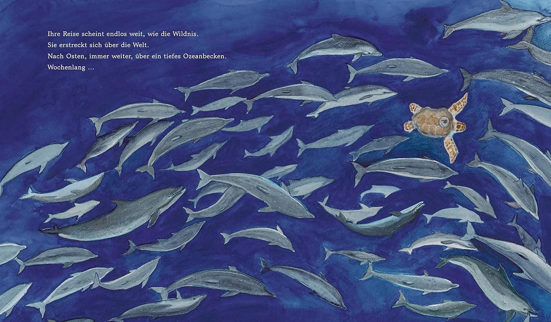 Illustration aus der wahren Geschichte "Yoshi und das Meer" zeigt die Schildkröte zusammen mit Walen und anderen Meerestieren.