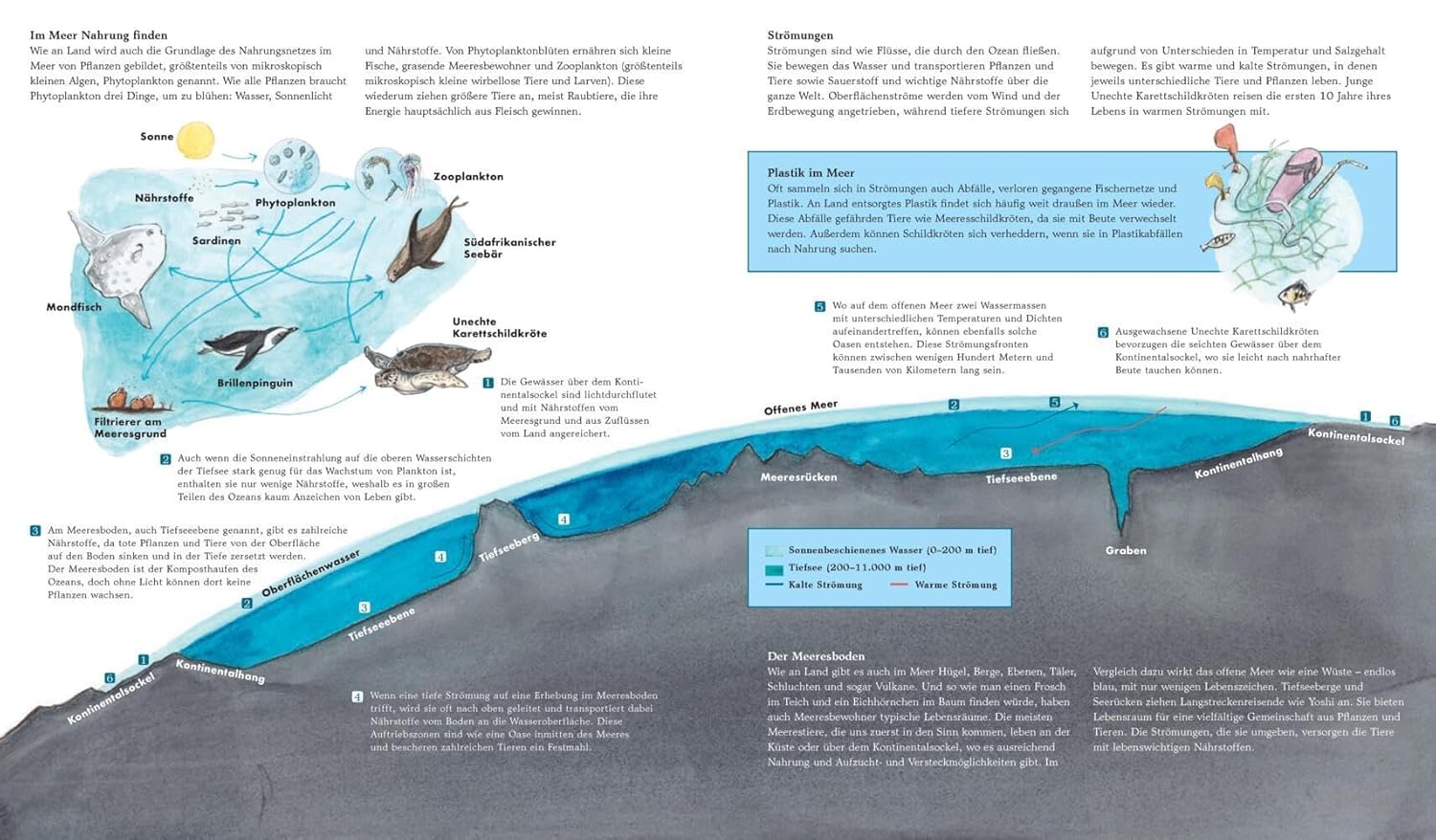 Infoseite aus "Yoshi und das Meer" erklärt, welche Tiere es im Ozean gibt, wie Ozeane aussehen und welche Probleme Plastik im Meer macht.